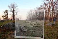 Rocky Field